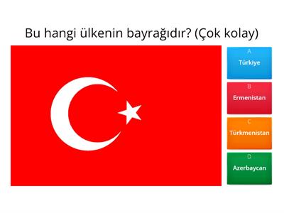 Ülke Bayrakları