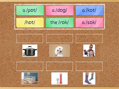 A1. Single-Syllable Words by Vowel Sounds: /ɒ/ as in "not" (British English)