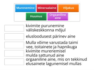 Muld. Mõisted.