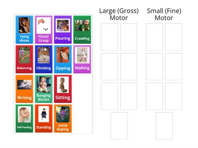  Gross vs Fine Motor Skills