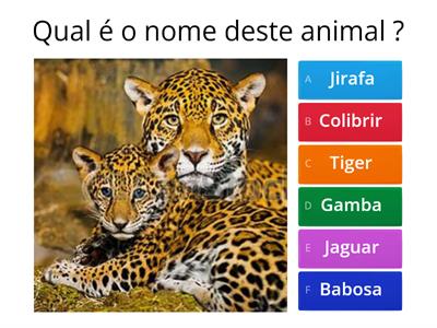 animales