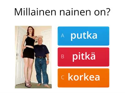 Millainen? SM1 1-3