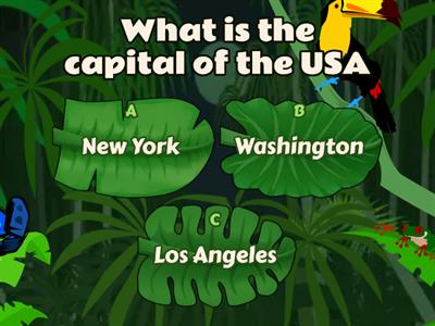 quiz usa