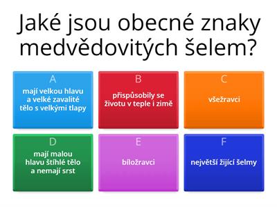 medvědovité šelmy sedlackopva7