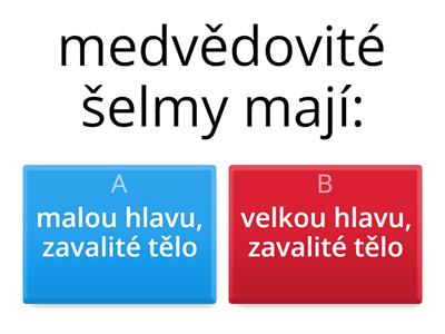 medvědovité šelmy