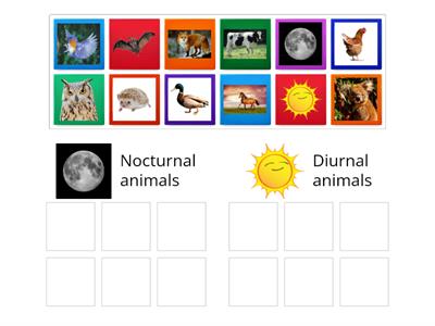 nocturnal/diurnal animals