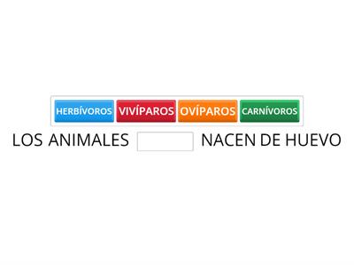 CLASIFICACION DE LOS ANIMALES