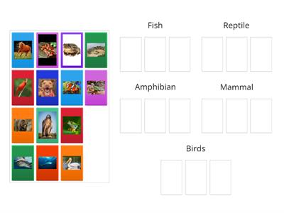 Classify Animals by Type