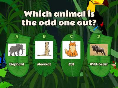 African Animals - Odd One Out 