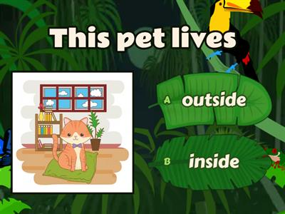 Pets live inside or outside 1º unit 3