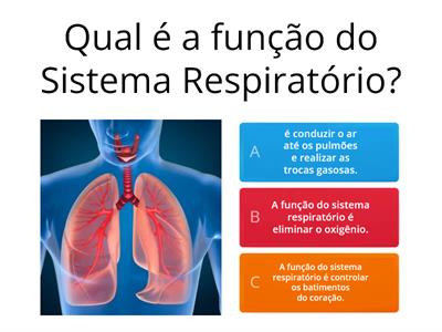Sistema Respiratorio profe Val 