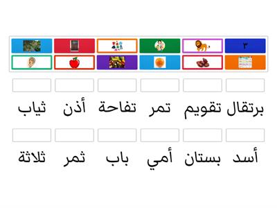 تدريبات الغة العربية للصف الأولى