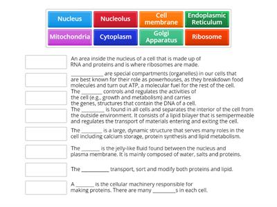 Organelles and their functions