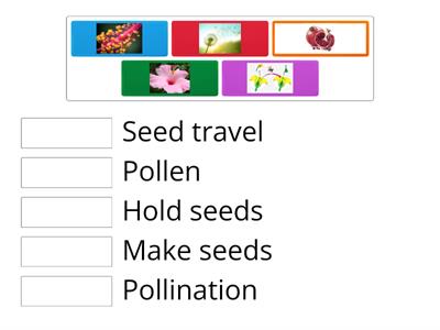 Grade-3 Pollination