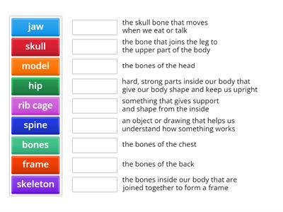 1.1 Bones and Skeletons