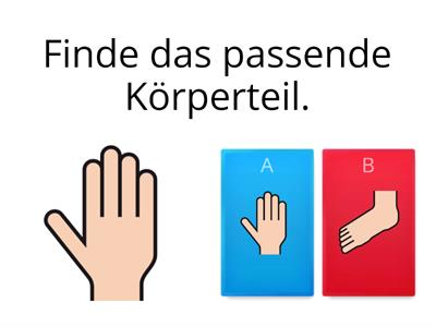 Körper-Quiz