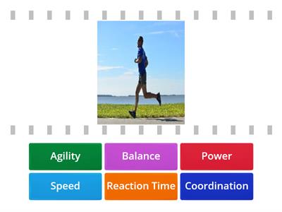 Skill-Related Fitness Components