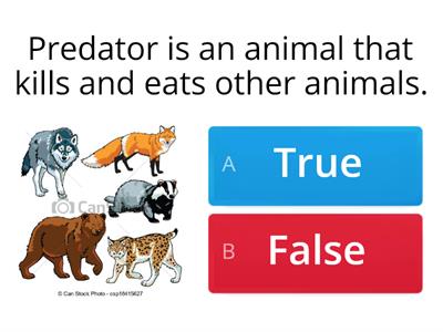 Copycat Animals. True or False