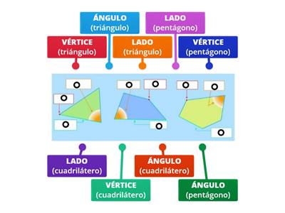 PARTES DE LOS POLÍGONOS 2