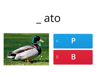 Escreve-se com P ou B?