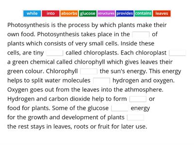 RO 3 Module 5 CLIL The Process of Photosynthesis