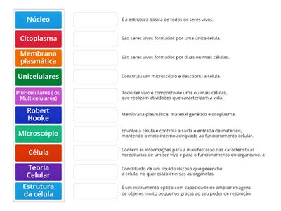 Célula (Ciências 6° ano)