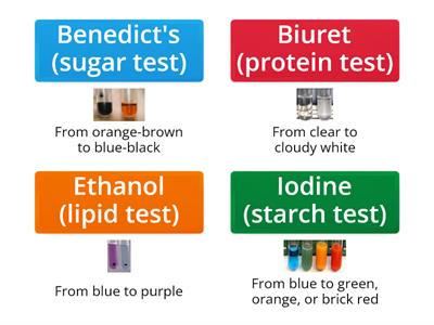 Food Test Colour Changes