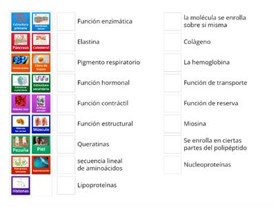 Clases de proteìnas