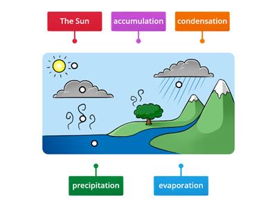 5TH Water Cycle- Label Illustration