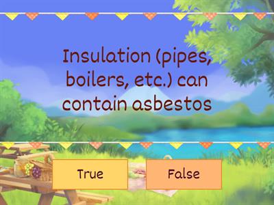 Asbestos true or false
