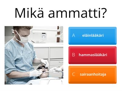 Läi 14 Mikä ammatti?