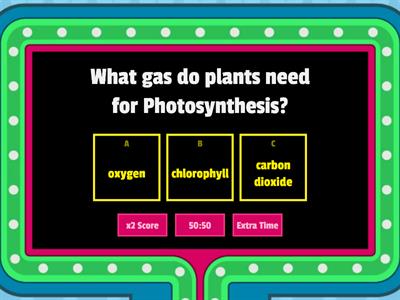 Parts of a plants and its function