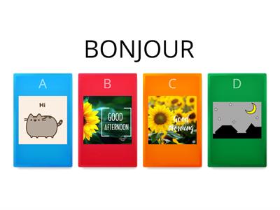 Basic Greetings in French (Salutations en français))