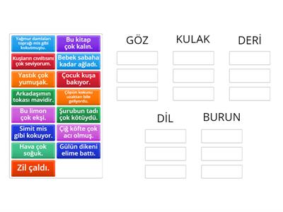 Duyu Organları  İle Durum Eşleştirme