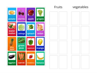 Fruits and Vegetable Sorter