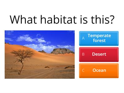 Habitats game 1