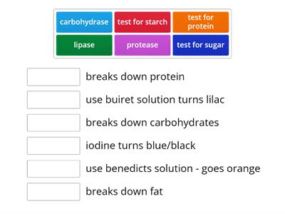 Enzymes and food tests