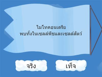 เซลล์ ม. 1