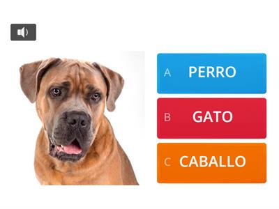 ANIMALES DOMESTICOS CON AUDIO