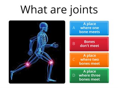 7TH GRADE: Joints and Muscles
