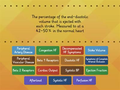 Cardiovascular System