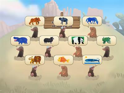 Brown Bear: animals