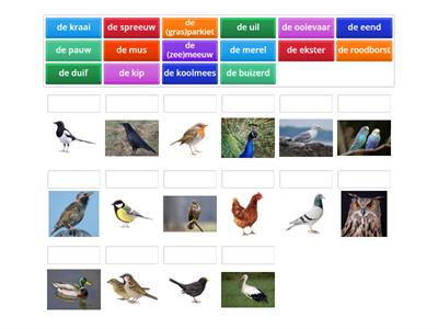 Copy of Vogels 