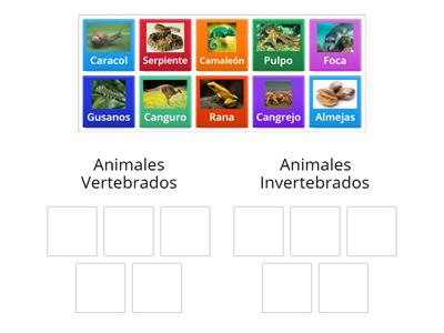 Animales vertebrados e invertebrados