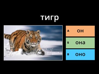 Т-7. Он, она, оно?