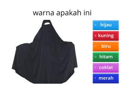 MENGENAL WARNA