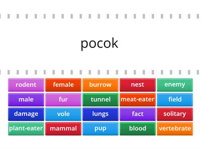 The common vole 4th grade matching vocab.