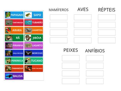 Mamíferos aves répteis anfíbios e peixes - Recursos de ensino