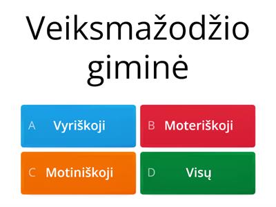 Veiksmažodis 