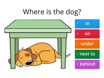 Prepositions- in on under next to behind